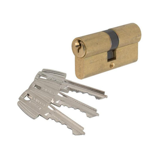 Tesa Cylindre 2 Entrées TE5 Laiton S'entrouvrant 50x40 Mm