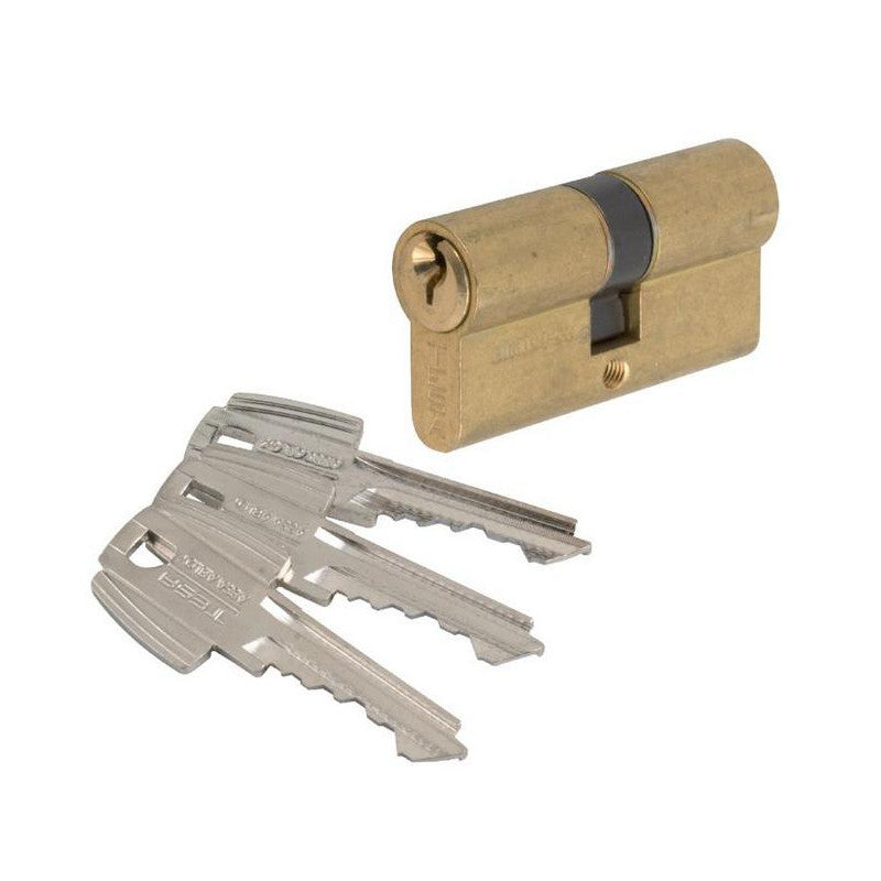 Tesa Cylindre 2 Entrées TE5 Laiton Varié 40x40 Mm