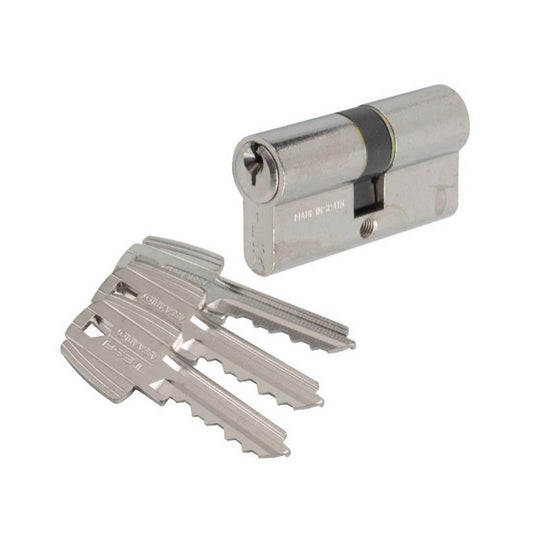 Tesa Cylindre 2 Entrées TE5 Nickelé Varié 45x45 Mm