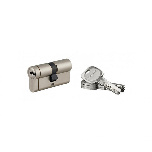  Cylindre De Serrure 30 X 30 Mm 4 Clés Réversibles Nickelé 294771