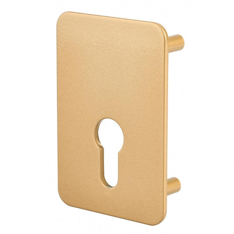  Plaque Renfort Porte Isoplane Type Capital à Cylindre Profilé époxy Br